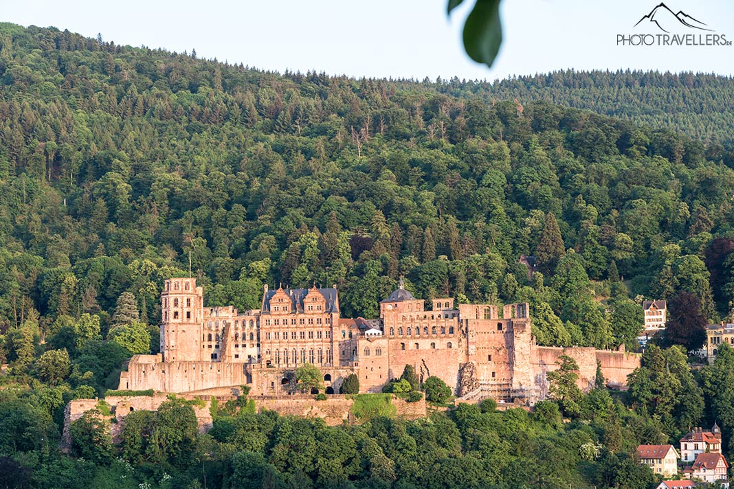 Das Heidelberger Schloss