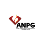 About Us 19 3-anpg-partner-associations