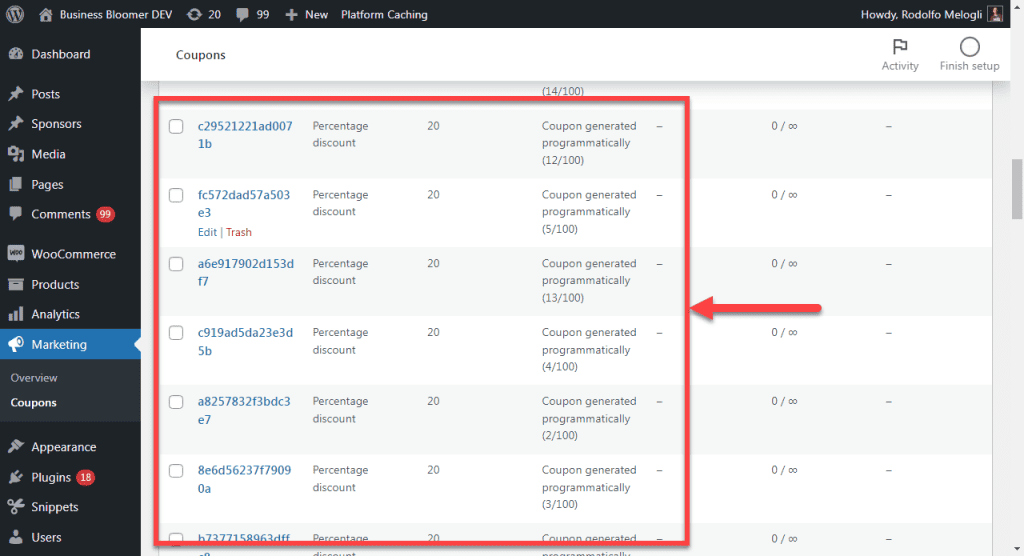 result of WooCommerce bulk generate coupons