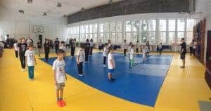 Curs de Wushu - Kung Fu pentru copii Wushu Kinetics Curs de Wushu - Kung Fu pentru copii Wushu Kinetics