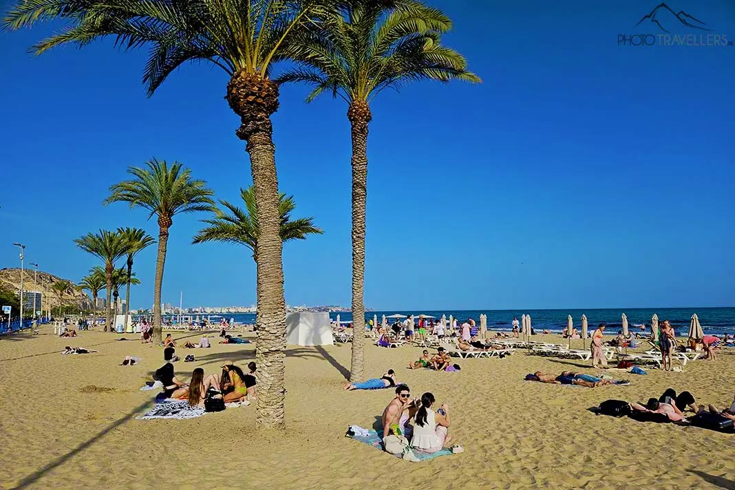 Menschen liegen am Strand El Postiguet unter Palmen am Strand