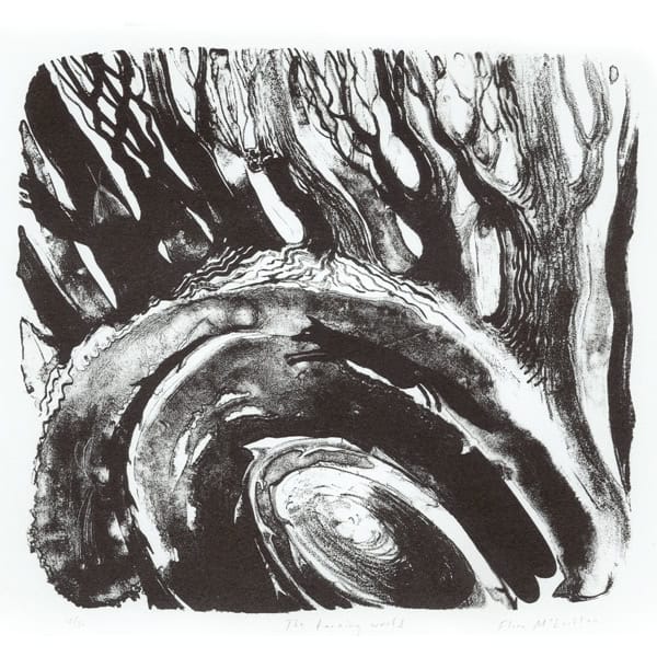 C2055 The Turning World – Flora McLachlan