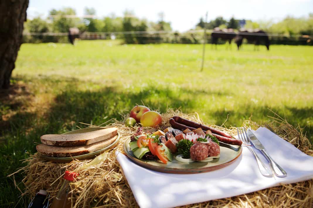 Picknick im Grünen