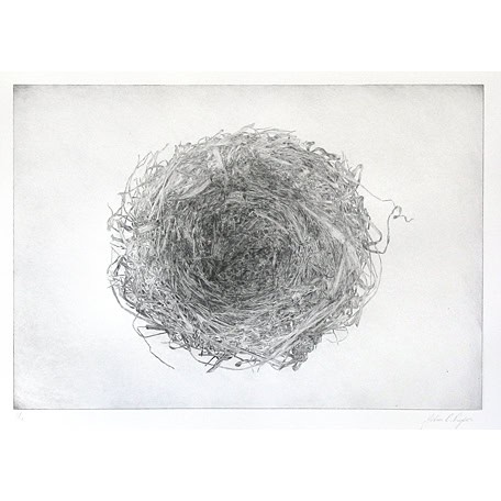 C3159 Nest 3/12 – John Douglas Piper