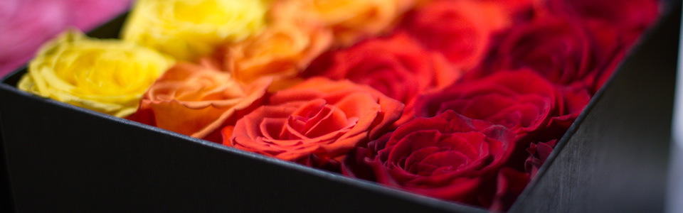 Buy Flowers - Boxed Roses
