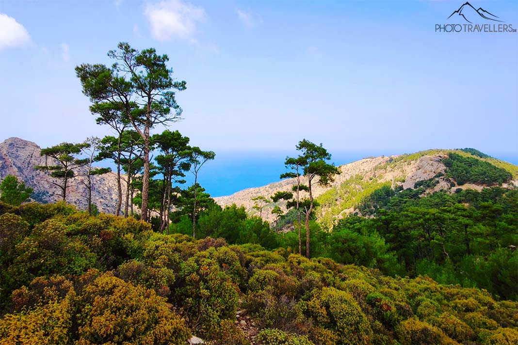 Mächtige Kiefern und üppiges Grün zwischen hohen Felsen prägen die Berglandschaft bei Vrakades