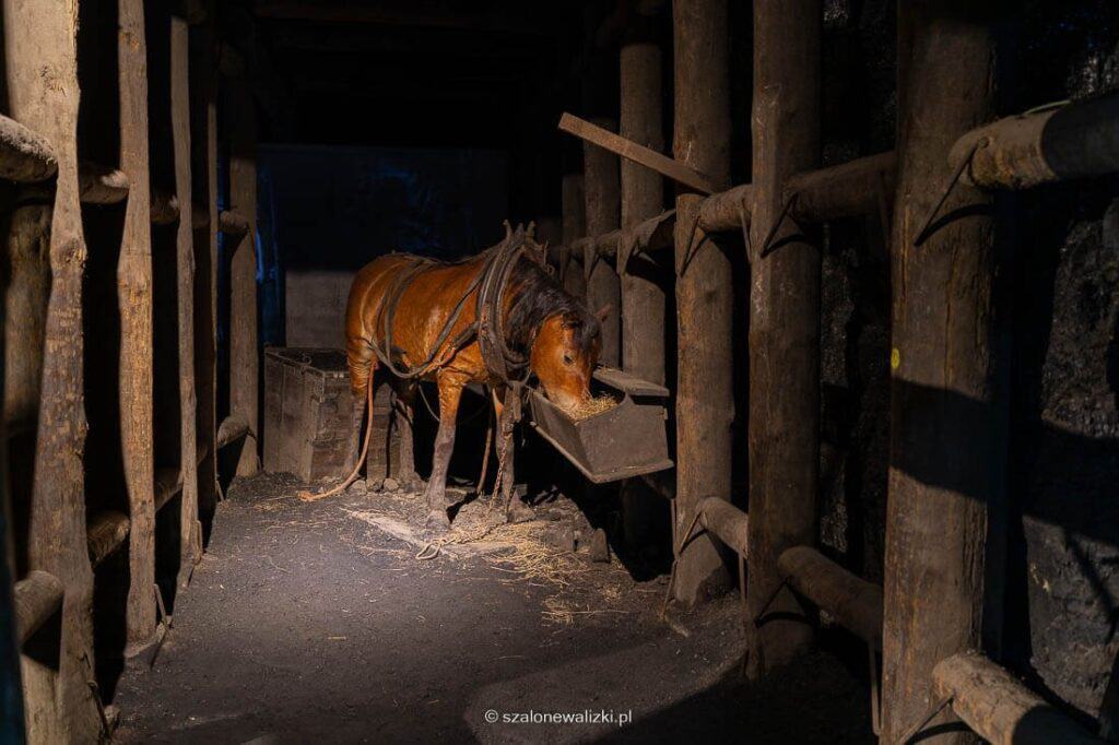 sztolnia królowa luiza