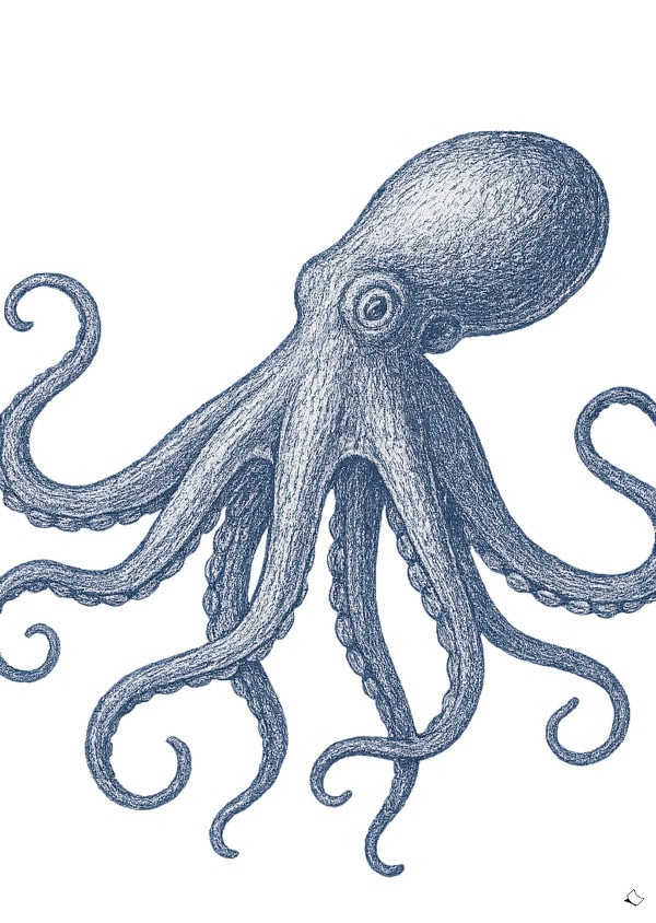 Okopus Bild in Blau als gratis Wandbild zum Ausdrucken
