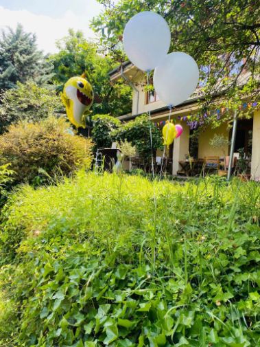 Curtea de Vara verdeata Locuri de Petreceri in Aer Liber pentru Copii Bucuresti