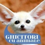 222 Cele Mai Bune Ghicitori despre Animale ghicitori despre animale
