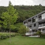 A large green tree in front of a house