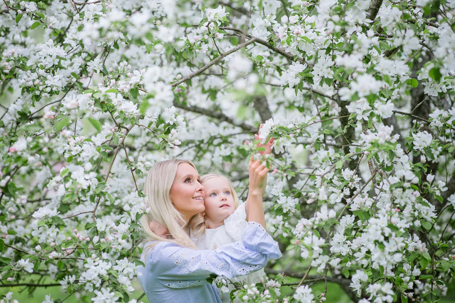 apple sessions Niki Strbian 1