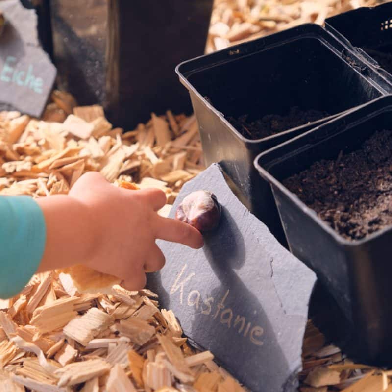 montessori_lauf_waldkindertage_6
