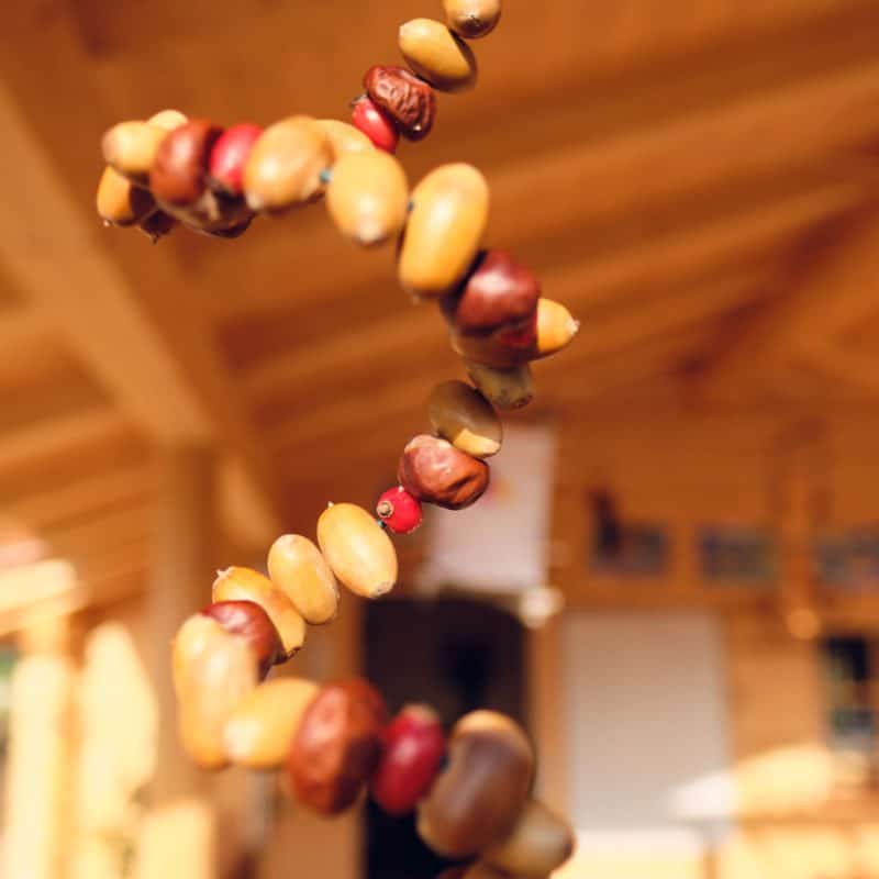 montessori_lauf_waldkindertage_5