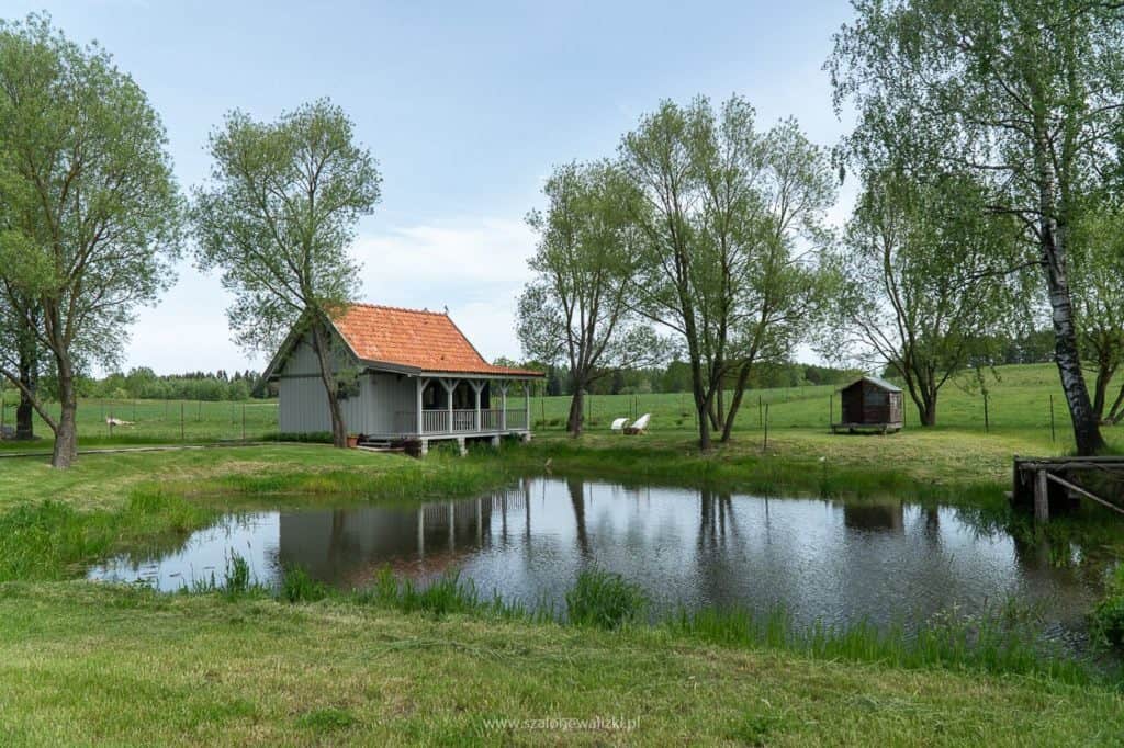 Olsztyn i okolice Olsztyna