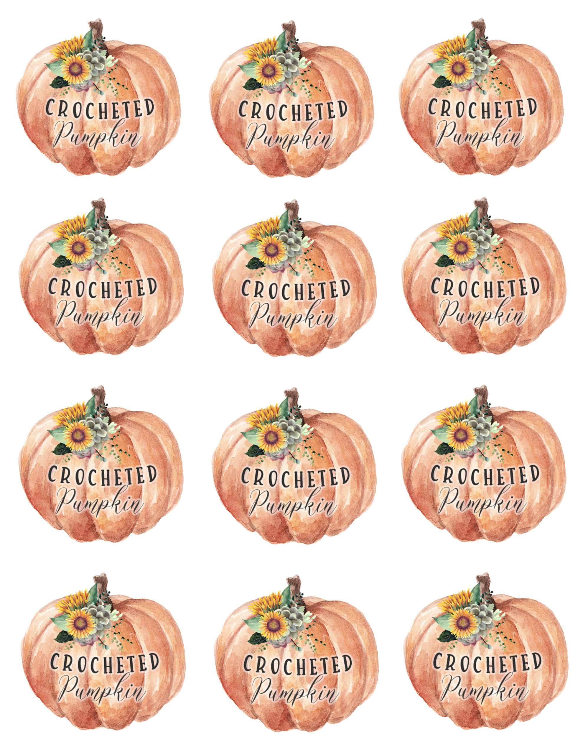 Sheet with 12 watercolor pumpkins topped with yellow flowers and greenery, labeled “Crochet Pumpkin” in black script text. Free crochet pattern