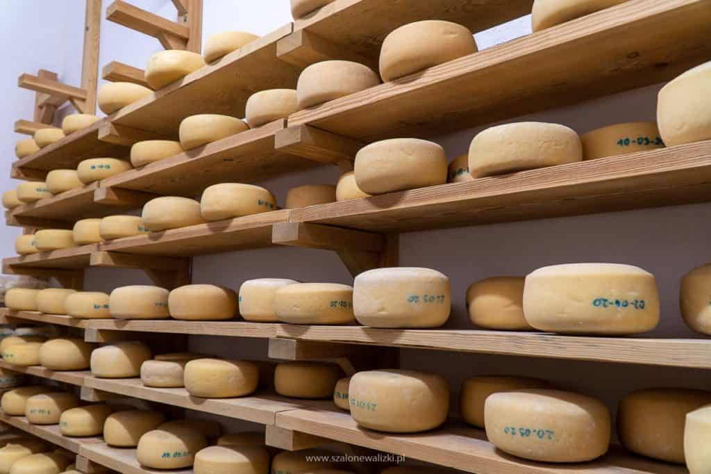 Olsztyn i okolice Olsztyna