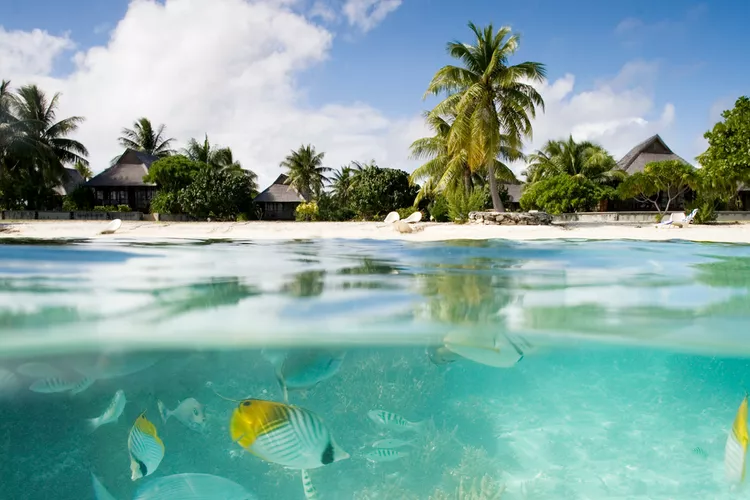 French Polynesia Travel Insurance French Polynesia Travel Insurance
