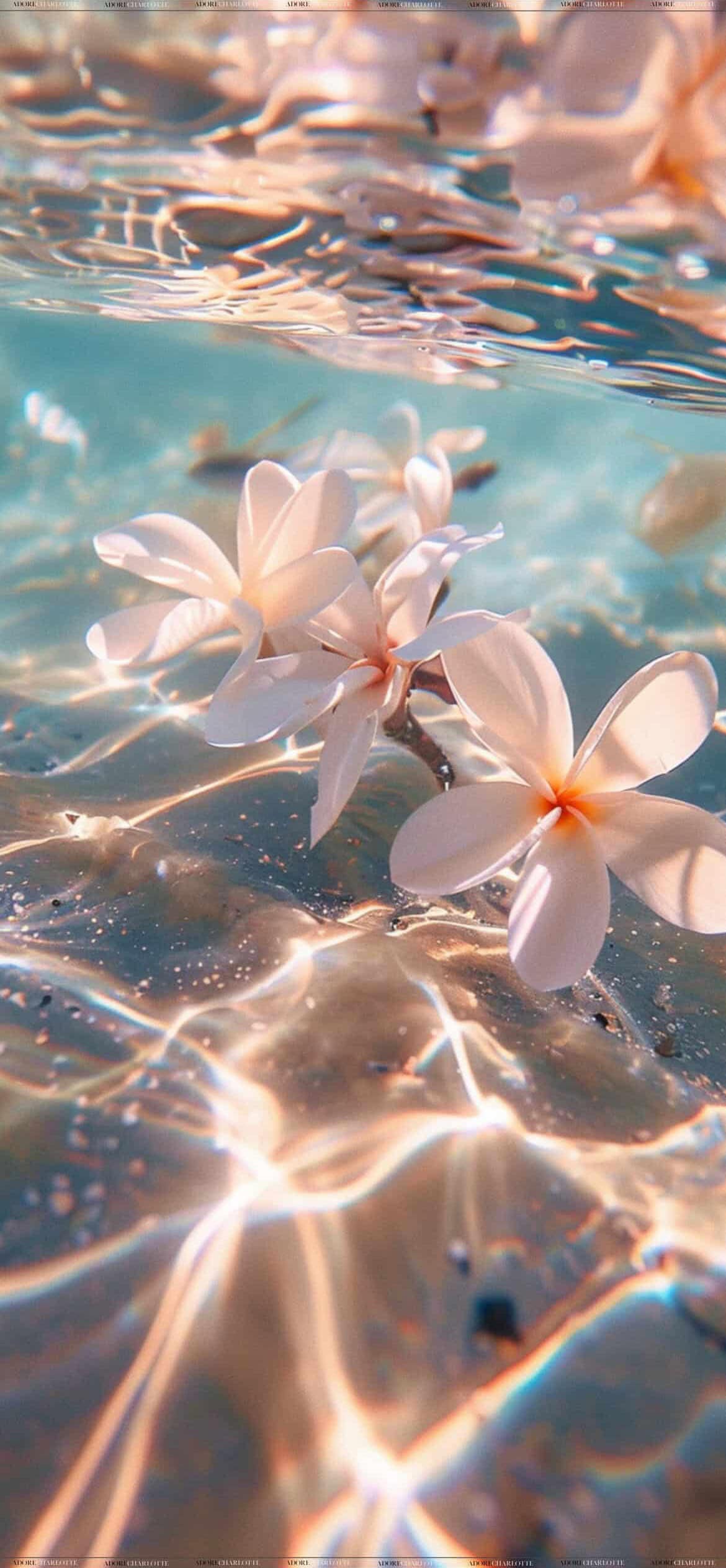 25 Aesthetic Flowers in Water Phone Wallpaper: 4K Tropical Dream ...