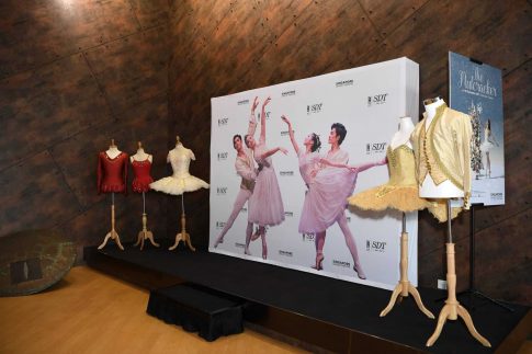 SCDT portable backdrop