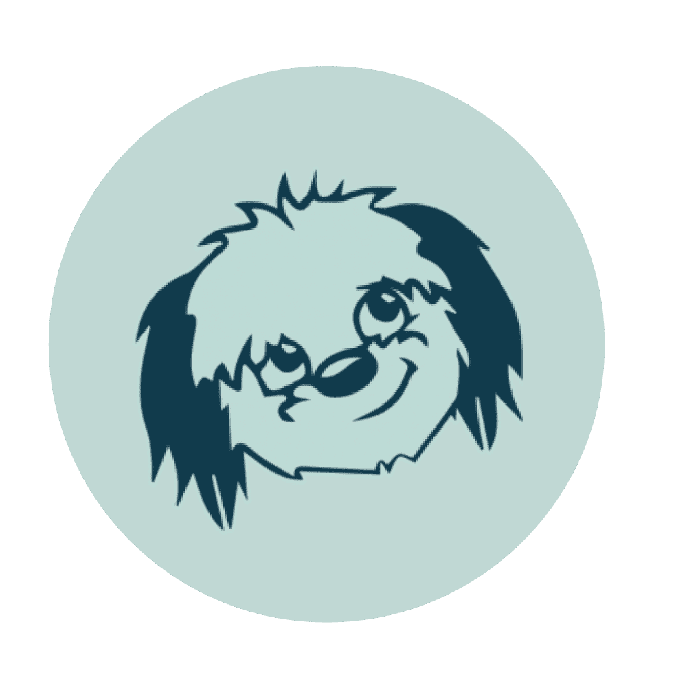 1 to 1 dog training – go anywhere dog®, minneapolis & twin cities, mn, dog training
