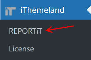Opening ithemeland's woo report plugin