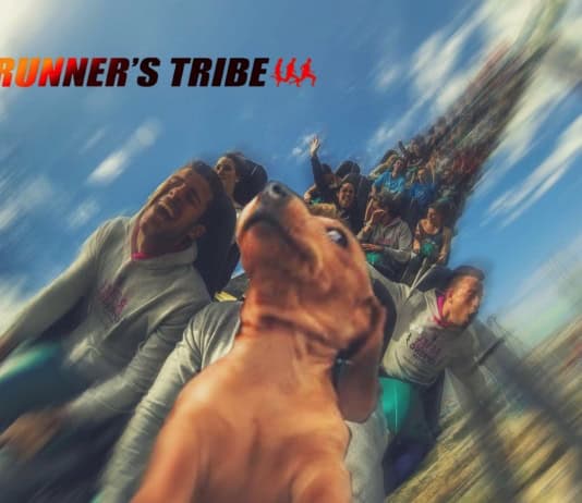 Stanley The Sausage Dog, Mike Tyson, Seinfeld, and Running: Interview with Jordan Gusman