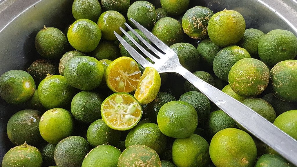 Calamansi Limes, Philippines.