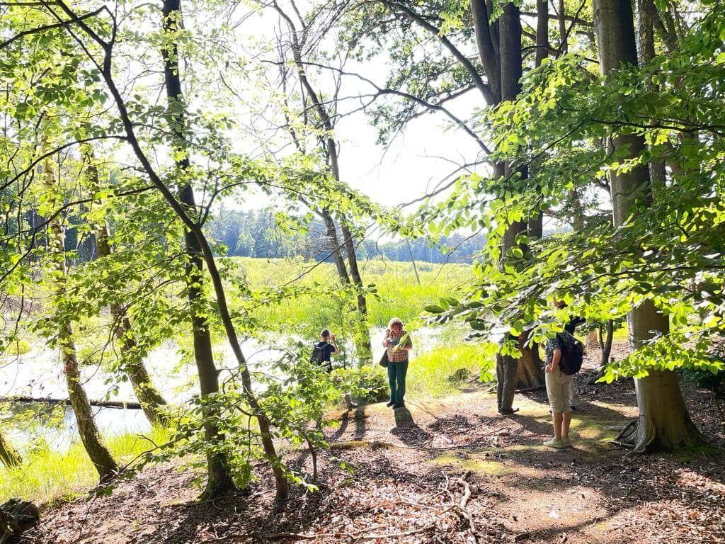 Besuchergruppe auf einem NABU-Ausflug in der Natur des Biesenthaler Beckens und Hutelandschaft Altranft-Sonnenburg, unterstützt von der Daniel Schlegel Umweltstiftung.