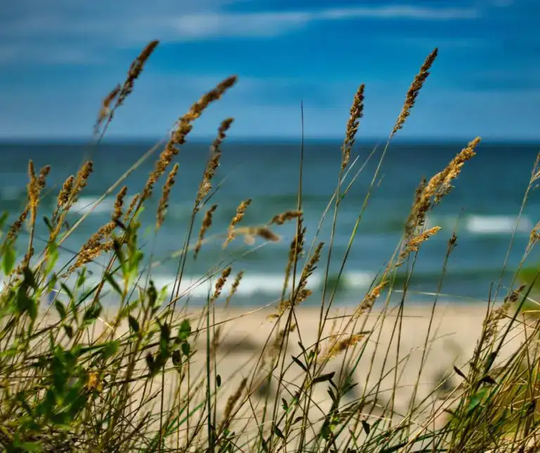 Seebestattung Ostsee