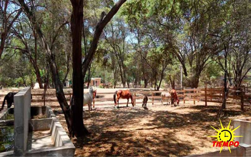 Parque_kurt_beer_piura