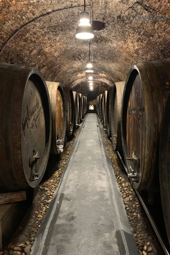Mehrere große alte Weinfässer im Keller der Domäne Wachau