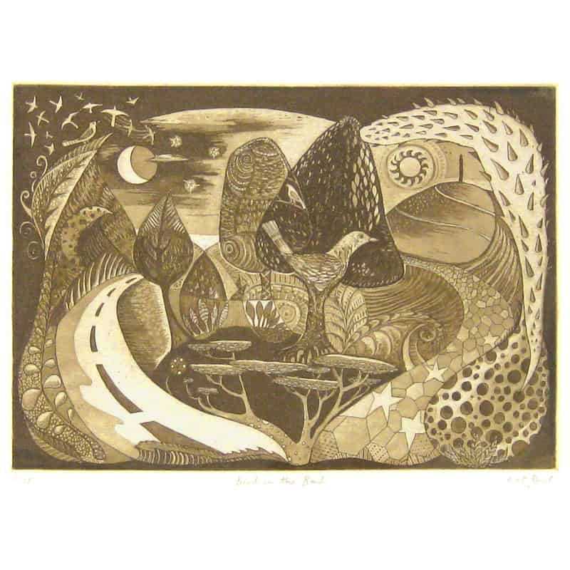 0494C Bird in the Bush 2/75 – Kit Boyd