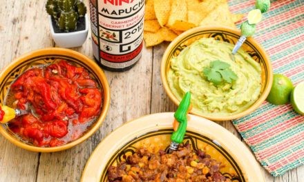 Chile con Carne et vin Chilien Las Niñas, Mapuche