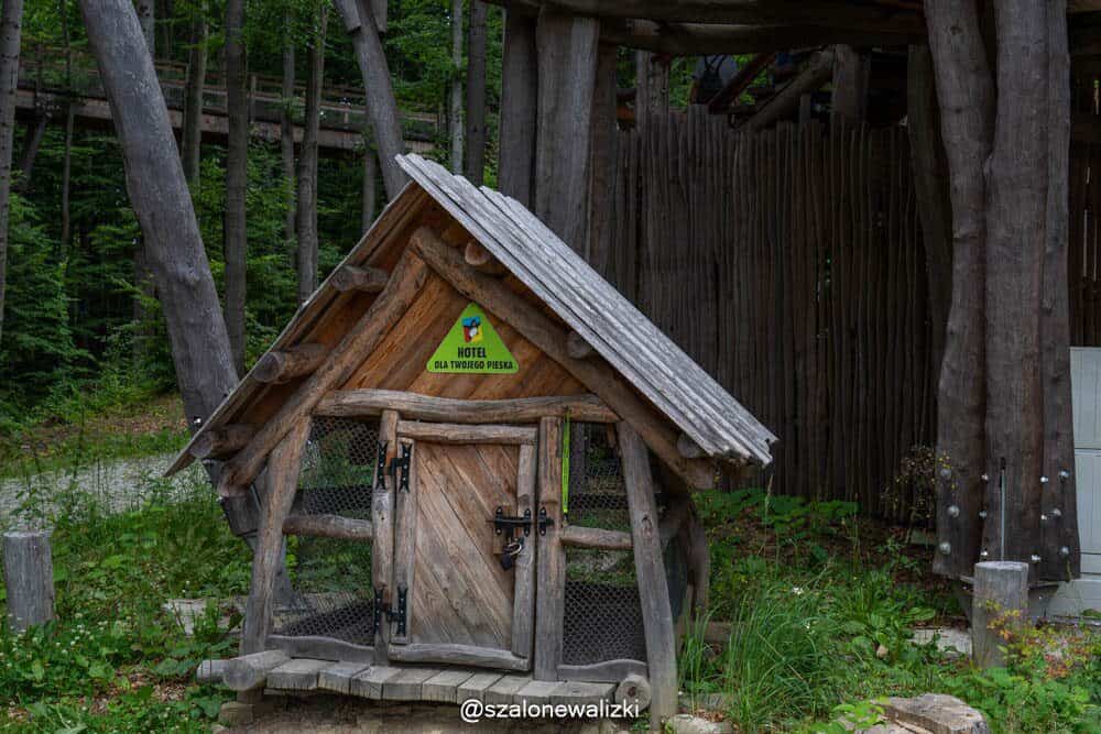 hotel spa dr Irena Eris krynica zdrój