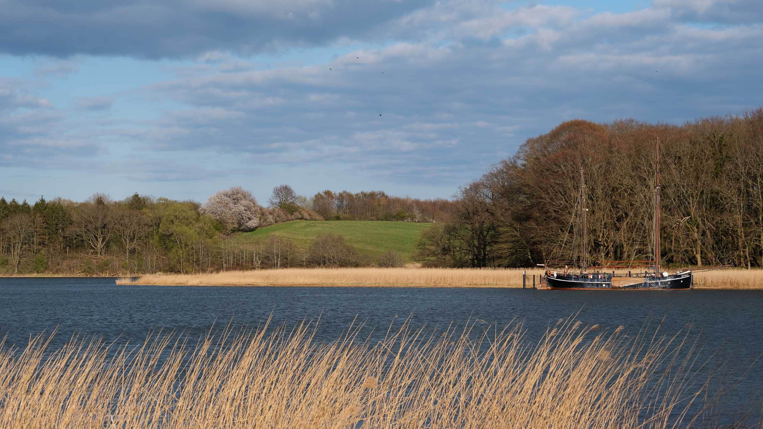 Abendstimmung Schlei