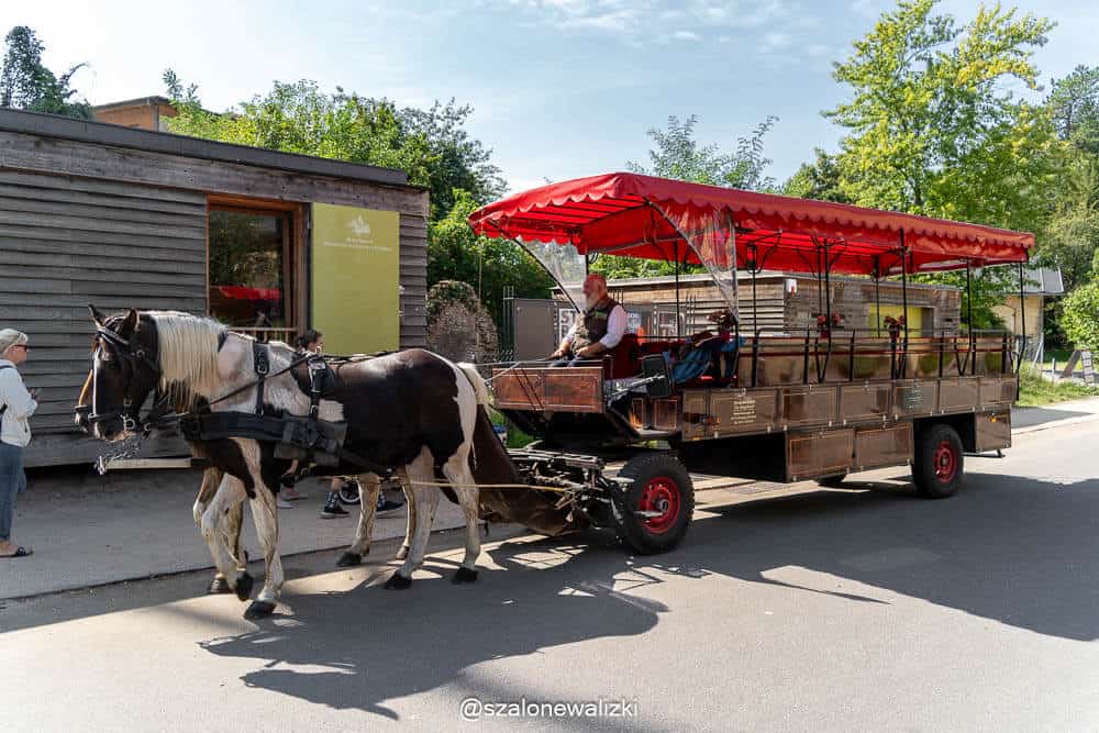 pałac sanssouci w poczdamie