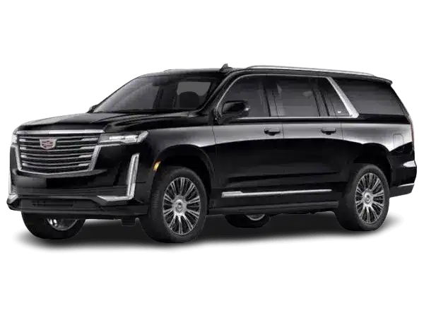 Hummer limo