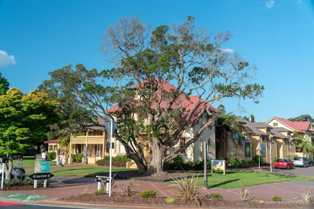 geotermalna stolica Nowej Zelandii