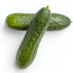 castravete cucumber concombre cetriolo pepino Gurke legume ordonate alfabetic