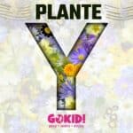 Plante cu Y – Lista Alfabetică pentru Școală și Jocul ȚOMAPAN Plante cu Y