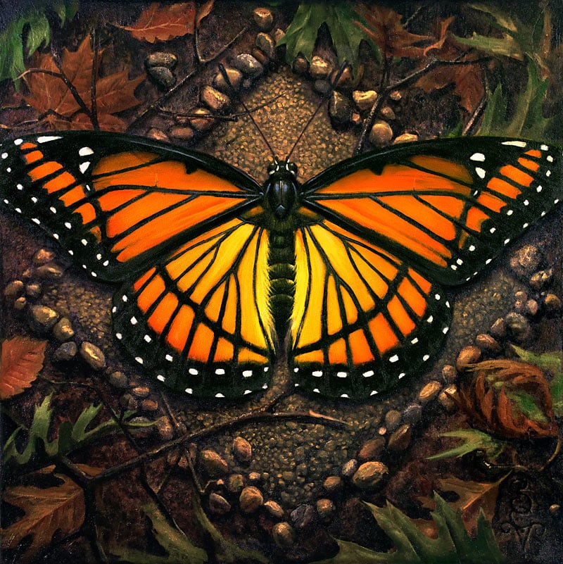 Earth: Viceroy Butterfly by S. C. Versillee