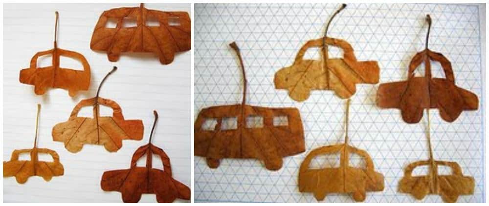 activitate cu frunze masini decupate activitate cu frunze masini decupate