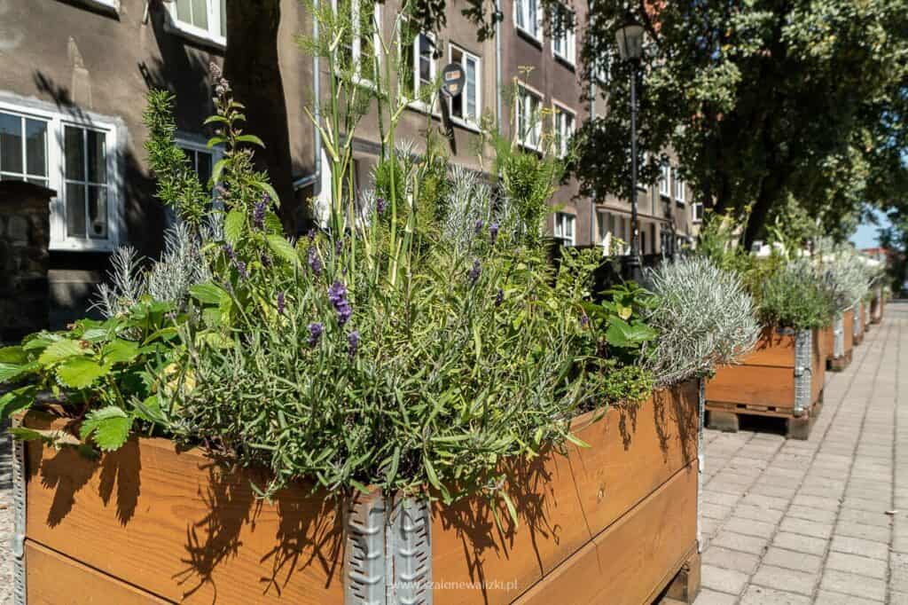 gdańsk, ul. grobla IV