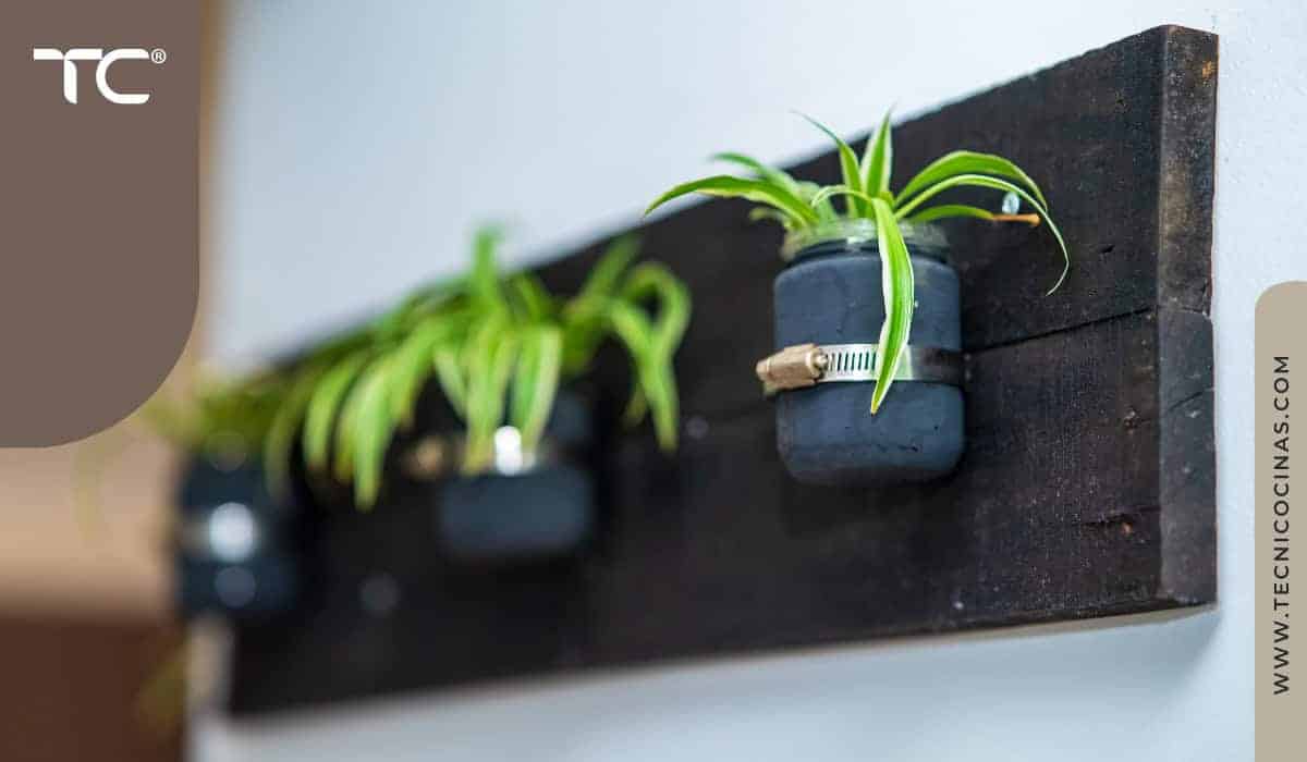 Macetas pequeñas sujetas en madera reciclada como sistema vertical de plantas decorativas