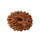 18 Mukhi Rudraksha
