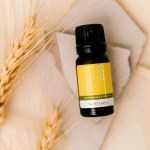 A 10ml bottle of German Chamomile 3% in Grapeseed Oil sits on a white stone, encircled by wheat stalks against a beige backdrop.