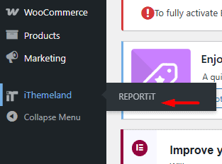 Open reportit plugin by ithemelandco