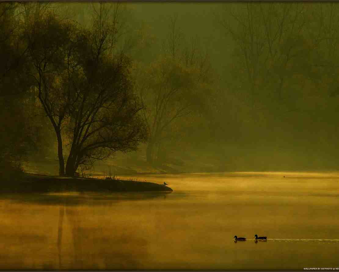 Golden Morning