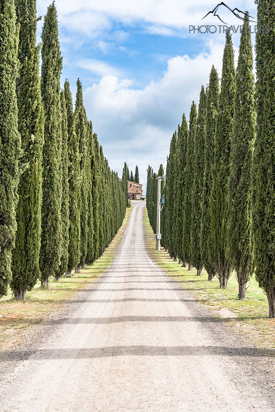 Die Zypressenallee zum Agriturismo Poggio Covili